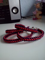 /album/fotogaleria-fotogaleria25/cam00146-jpg/